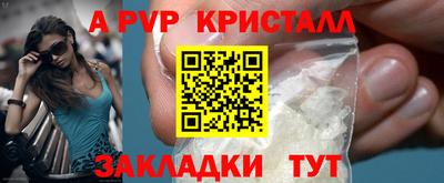 jwh Кингисепп