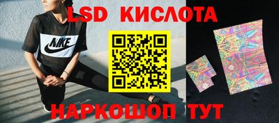 jwh Кингисепп