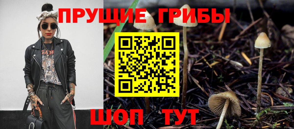 Галлюциногенные грибы прущие грибы  Вход с VPN  Красноярск  Псилоцибиновые грибы Magic Shrooms 